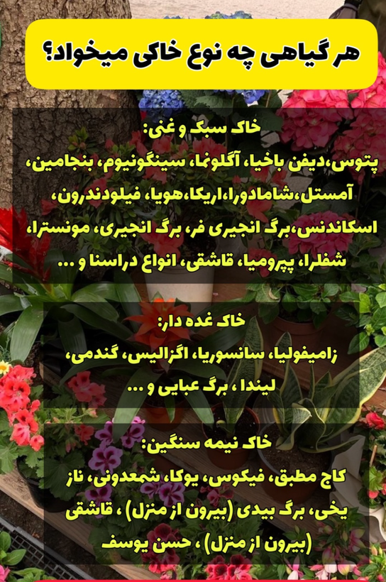 خاک هلندی تخصصی گیاهان غده دار، استریل و بدون ناخالصی